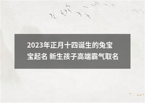 2023年正月十四诞生的兔宝宝起名 新生孩子高端霸气取名