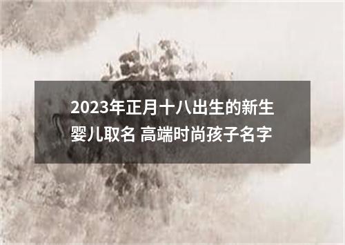 2023年正月十八出生的新生婴儿取名 高端时尚孩子名字