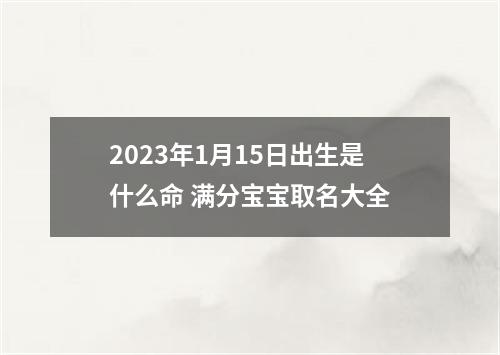 2023年1月15日出生是什么命 满分宝宝取名大全