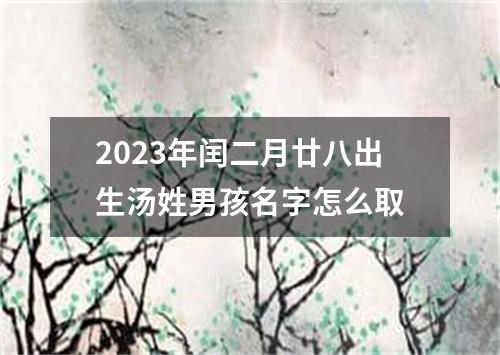 2023年闰二月廿八出生汤姓男孩名字怎么取