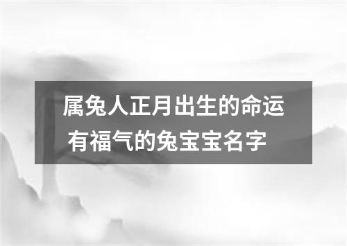 属兔人正月出生的命运 有福气的兔宝宝名字