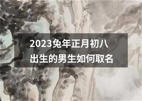 2023兔年正月初八出生的男生如何取名
