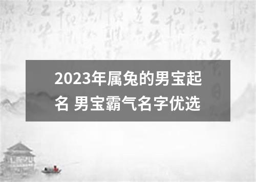 2023年属兔的男宝起名 男宝霸气名字优选
