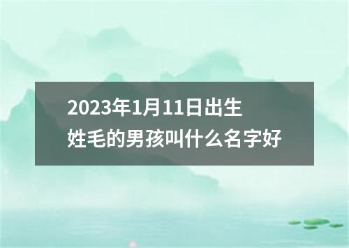 2023年1月11日出生姓毛的男孩叫什么名字好