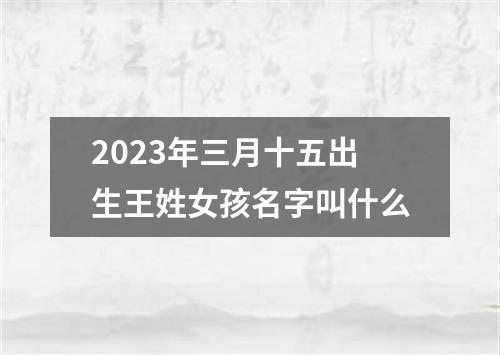 2023年三月十五出生王姓女孩名字叫什么