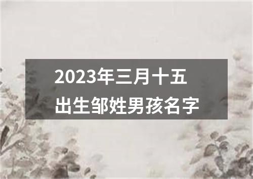 2023年三月十五出生邹姓男孩名字