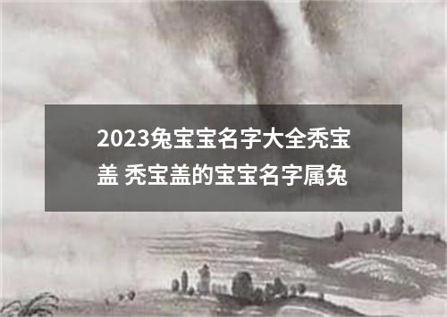 2023兔宝宝名字大全秃宝盖 秃宝盖的宝宝名字属兔