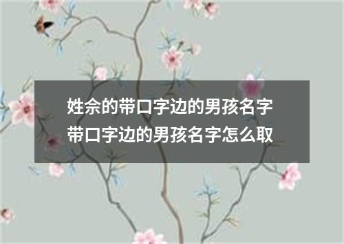 姓佘的带口字边的男孩名字 带口字边的男孩名字怎么取