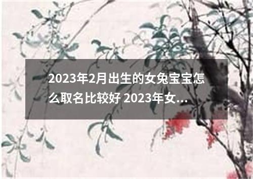 2023年2月出生的女兔宝宝怎么取名比较好 2023年女兔宝宝大吉大利名字大全