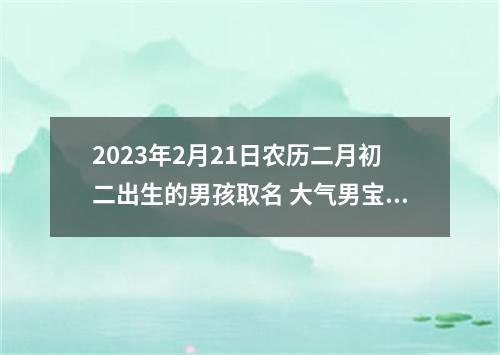 2023年2月21日农历二月初二出生的男孩取名 大气男宝好名推荐