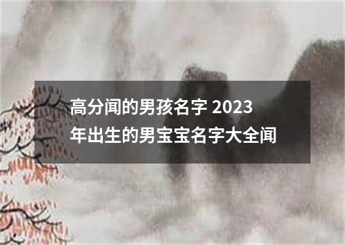 高分闻的男孩名字 2023年出生的男宝宝名字大全闻