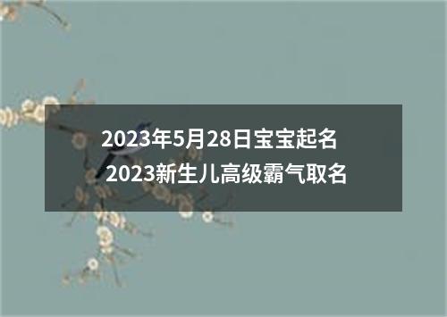 2023年5月28日宝宝起名 2023新生儿高级霸气取名