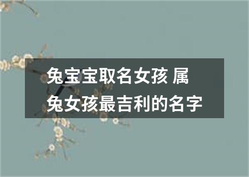 兔宝宝取名女孩 属兔女孩最吉利的名字