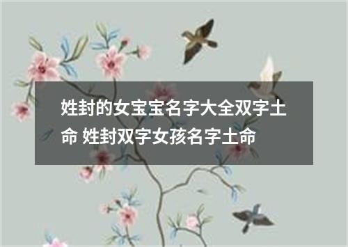 姓封的女宝宝名字大全双字土命 姓封双字女孩名字土命