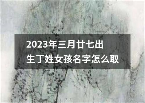 2023年三月廿七出生丁姓女孩名字怎么取