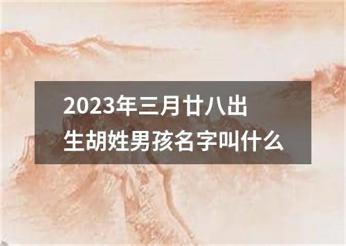 2023年三月廿八出生胡姓男孩名字叫什么