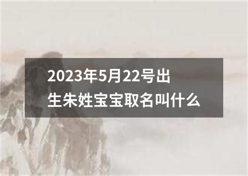 2023年5月22号出生朱姓宝宝取名叫什么