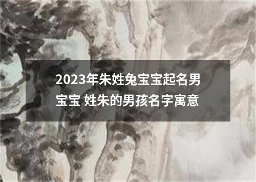2023年朱姓兔宝宝起名男宝宝 姓朱的男孩名字寓意