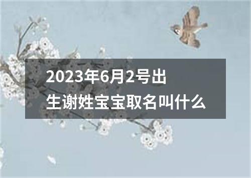 2023年6月2号出生谢姓宝宝取名叫什么
