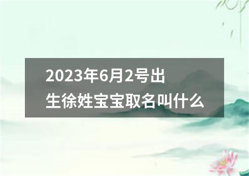 2023年6月2号出生徐姓宝宝取名叫什么