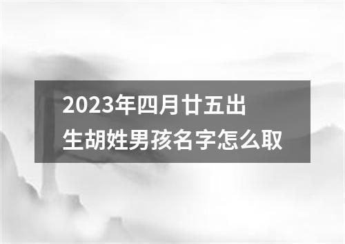 2023年四月廿五出生胡姓男孩名字怎么取
