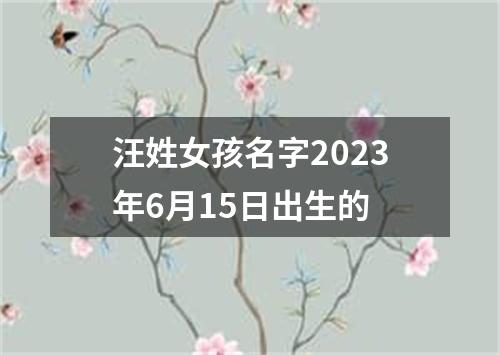 汪姓女孩名字2023年6月15日出生的
