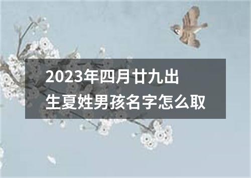 2023年四月廿九出生夏姓男孩名字怎么取