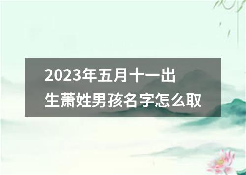 2023年五月十一出生萧姓男孩名字怎么取