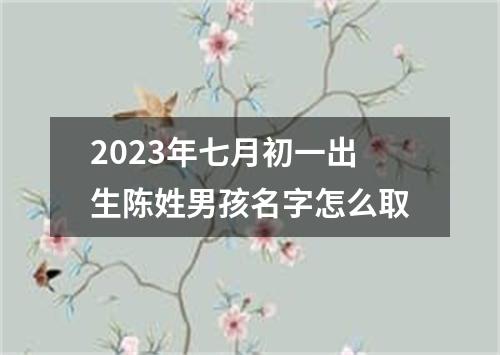 2023年七月初一出生陈姓男孩名字怎么取