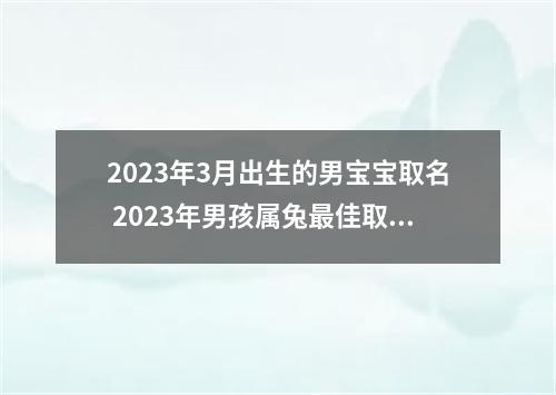 2023年3月出生的男宝宝取名 2023年男孩属兔最佳取名