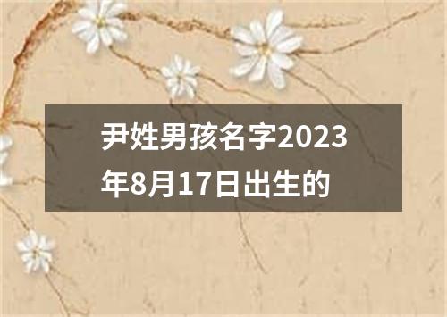 尹姓男孩名字2023年8月17日出生的