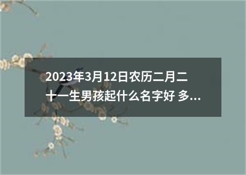 2023年3月12日农历二月二十一生男孩起什么名字好 多才巧智取名