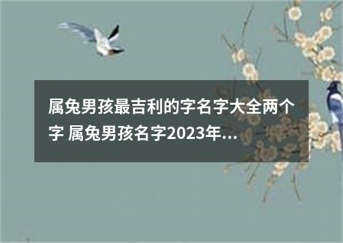 属兔男孩最吉利的字名字大全两个字 属兔男孩名字2023年名字大全