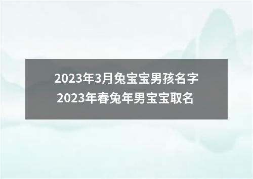 2023年3月兔宝宝男孩名字 2023年春兔年男宝宝取名