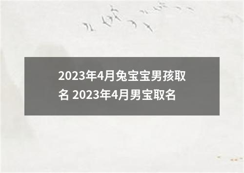 2023年4月兔宝宝男孩取名 2023年4月男宝取名