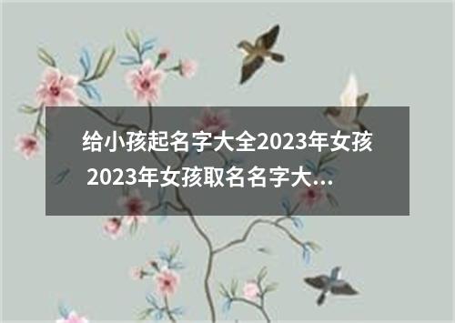 给小孩起名字大全2023年女孩 2023年女孩取名名字大全