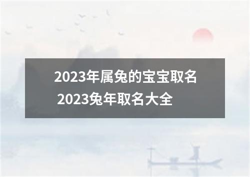 2023年属兔的宝宝取名 2023兔年取名大全