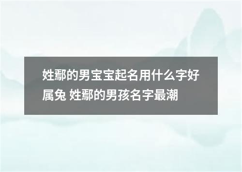 姓鄢的男宝宝起名用什么字好属兔 姓鄢的男孩名字最潮