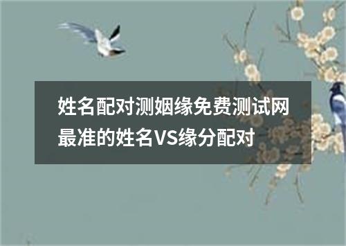 姓名配对测姻缘免费测试网最准的姓名VS缘分配对