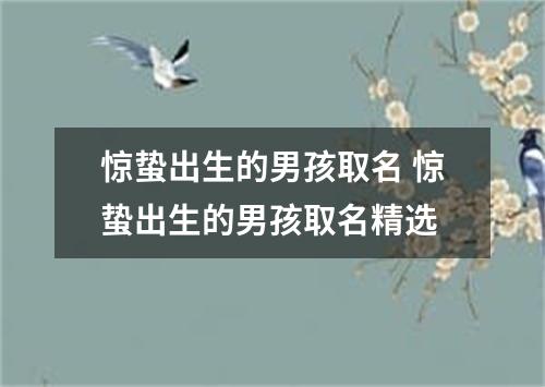 惊蛰出生的男孩取名 惊蛰出生的男孩取名精选