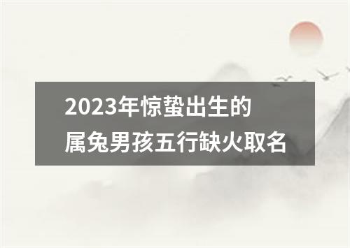 2023年惊蛰出生的属兔男孩五行缺火取名