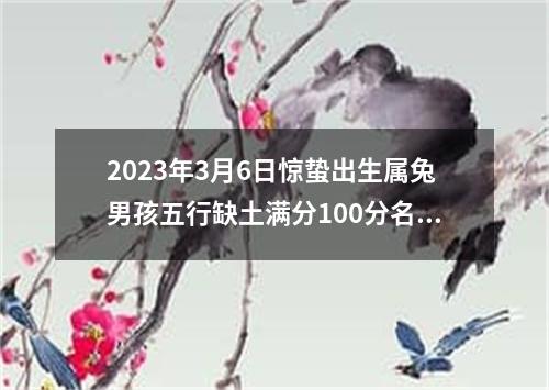 2023年3月6日惊蛰出生属兔男孩五行缺土满分100分名字