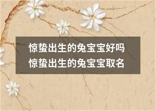 惊蛰出生的兔宝宝好吗 惊蛰出生的兔宝宝取名