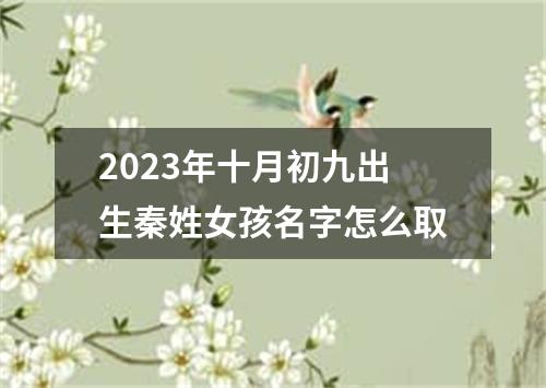 2023年十月初九出生秦姓女孩名字怎么取