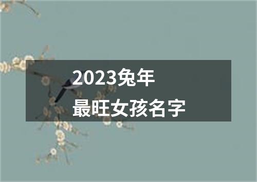 2023兔年最旺女孩名字