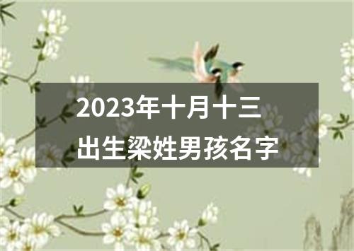 2023年十月十三出生梁姓男孩名字