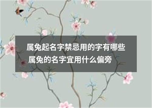 属兔起名字禁忌用的字有哪些 属兔的名字宜用什么偏旁