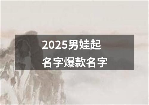 2025男娃起名字爆款名字