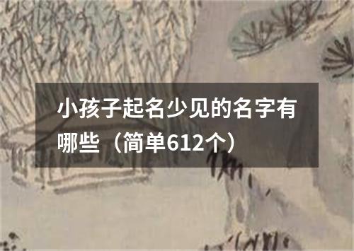 小孩子起名少见的名字有哪些(简单612个)