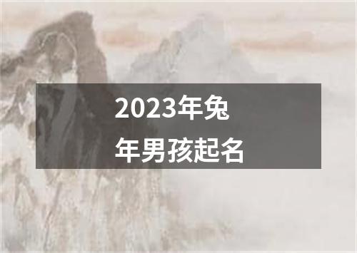 2023年兔年男孩起名